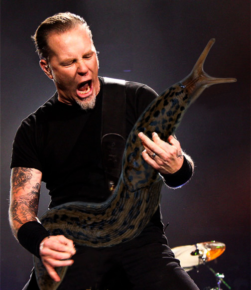 James Hetfield (Metallica) + Slug