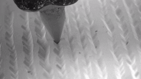 Vista microscópica de un disco de vinilo siendo reproducido.