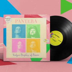 (Destroy & Design) Pantera - Vulgar Display of Power
